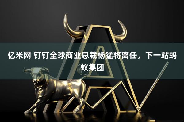 亿米网 钉钉全球商业总裁杨猛将离任，下一站蚂蚁集团