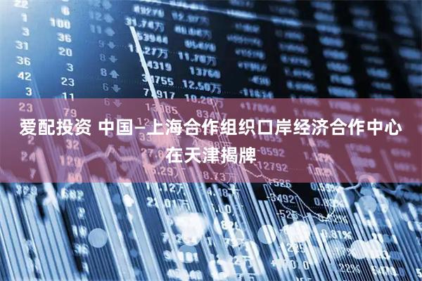 爱配投资 中国—上海合作组织口岸经济合作中心在天津揭牌